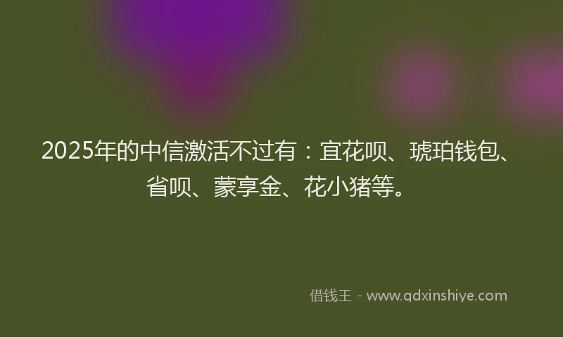 2025年的中信激活不过有:宜花呗、琥珀钱包、省呗、蒙享金、花小猪等。