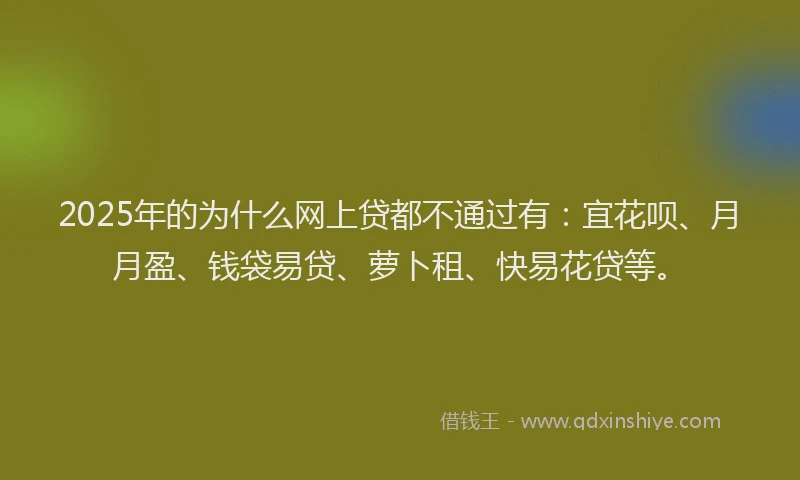 2025年的为什么网上贷都不通过有：宜花呗、月月盈、钱袋易贷、萝卜租、快易花贷等。
