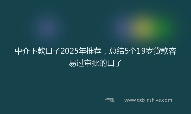 中介下款口子2025年推荐，总结5个19岁贷款容易过审批的口子