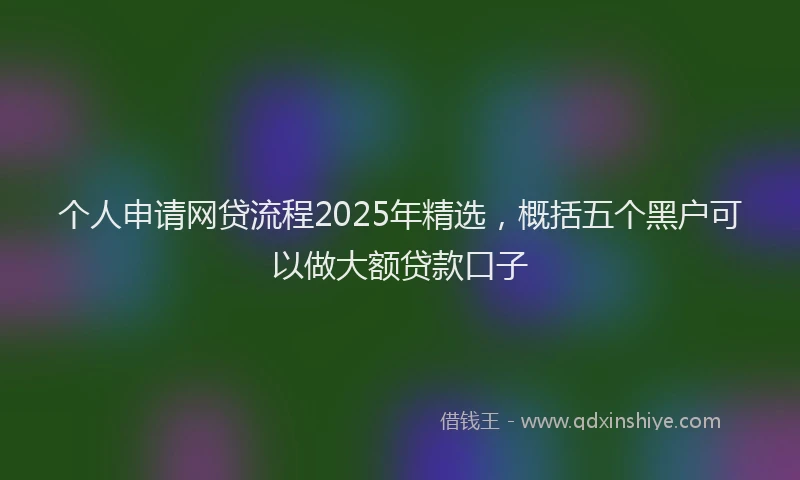 个人申请网贷流程2025年精选，概括五个黑户可以做大额贷款口子
