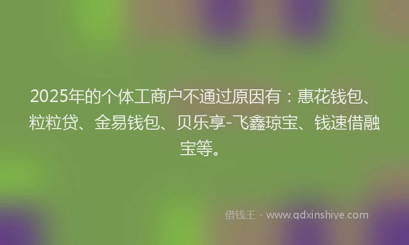 2025年的个体工商户不通过原因有：惠花钱包、粒粒贷、金易钱包、贝乐享-飞鑫琼宝、钱速借融宝等。