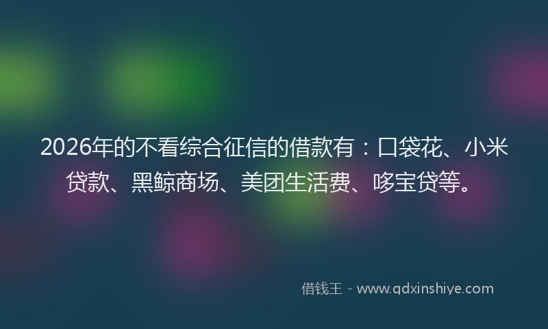 2026年的不看综合征信的借款有：口袋花、小米贷款、黑鲸商场、美团生活费、哆宝贷等。