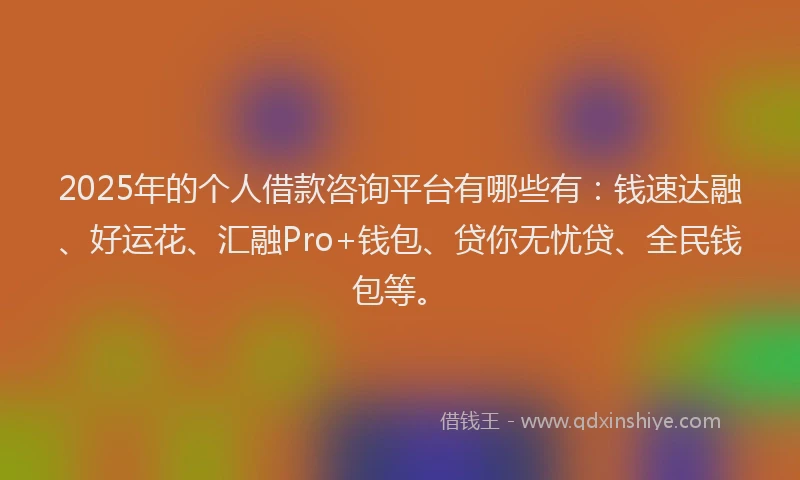 2025年的个人借款咨询平台有哪些有:钱速达融、好运花、汇融Pro+钱包、贷你无忧贷、全民钱包等。