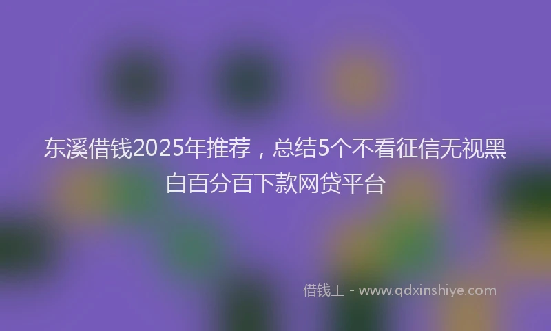 东溪借钱2025年推荐，总结5个不看征信无视黑白百分百下款网贷平台