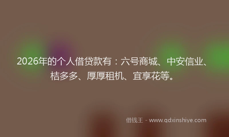 2026年的个人借贷款有：六号商城、中安信业、桔多多、厚厚租机、宜享花等。