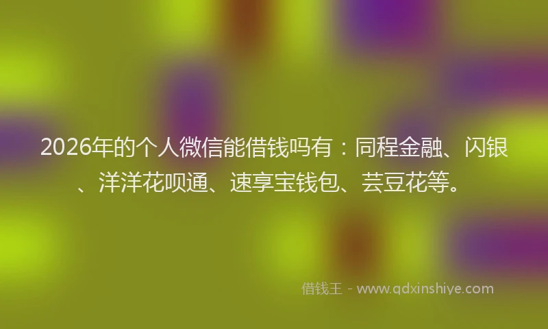 2026年的个人微信能借钱吗有：同程金融、闪银、洋洋花呗通、速享宝钱包、芸豆花等。