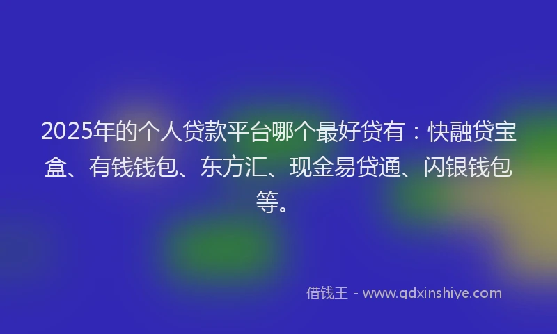 2025年的个人贷款平台哪个最好贷有：快融贷宝盒、有钱钱包、东方汇、现金易贷通、闪银钱包等。