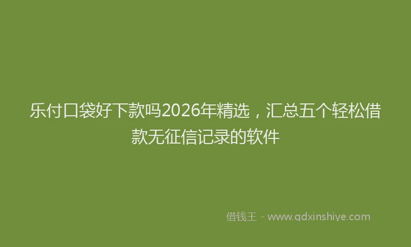 乐付口袋好下款吗2026年精选，汇总五个轻松借款无征信记录的软件