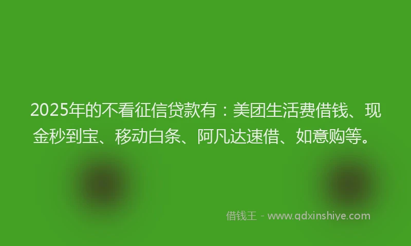 2025年的不看征信贷款有:美团生活费借钱、现金秒到宝、移动白条、阿凡达速借、如意购等。