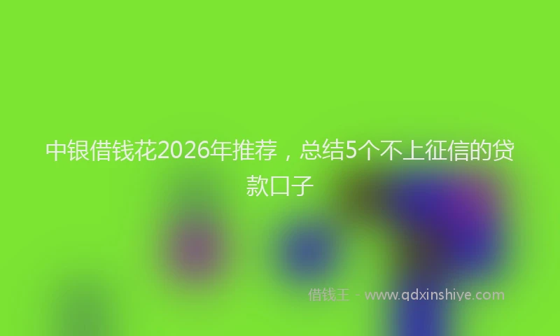 中银借钱花2026年推荐，总结5个不上征信的贷款口子