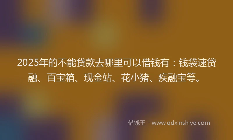 2025年的不能贷款去哪里可以借钱有：钱袋速贷融、百宝箱、现金站、花小猪、疾融宝等。