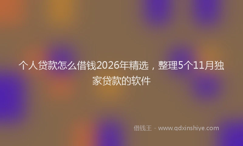 个人贷款怎么借钱2026年精选，整理5个11月独家贷款的软件