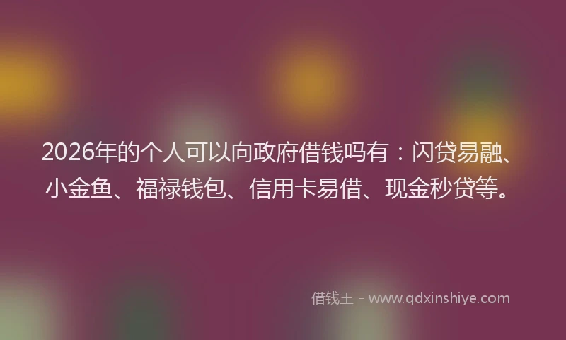 2026年的个人可以向政府借钱吗有：闪贷易融、小金鱼、福禄钱包、信用卡易借、现金秒贷等。
