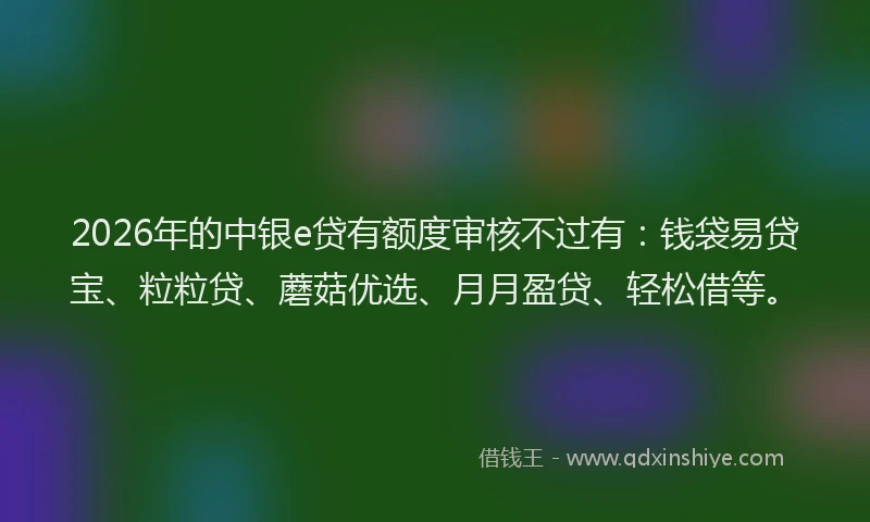 2026年的中银e贷有额度审核不过有:钱袋易贷宝、粒粒贷、蘑菇优选、月月盈贷、轻松借等。