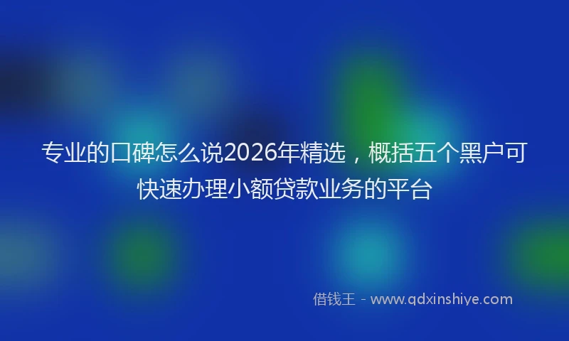 专业的口碑怎么说2026年精选，概括五个黑户可快速办理小额贷款业务的平台