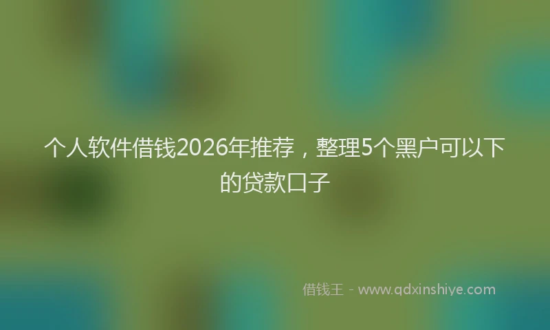 个人软件借钱2026年推荐，整理5个黑户可以下的贷款口子