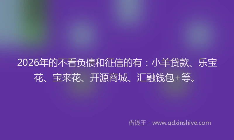 2026年的不看负债和征信的有：小羊贷款、乐宝花、宝来花、开源商城、汇融钱包+等。