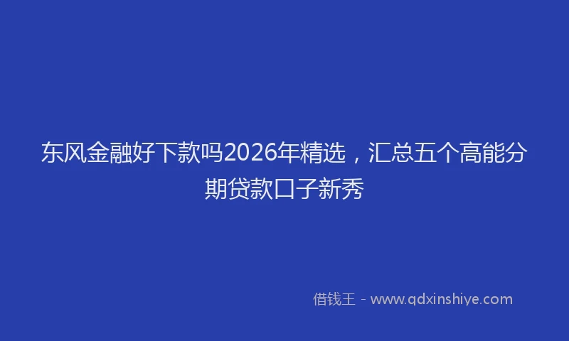 东风金融好下款吗2026年精选，汇总五个高能分期贷款口子新秀