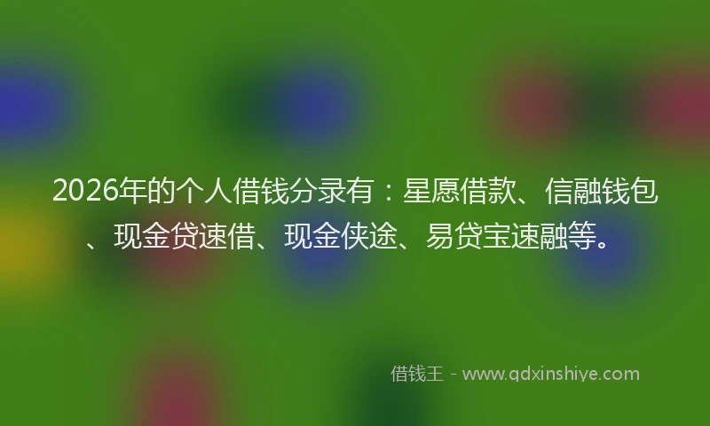2026年的个人借钱分录有：星愿借款、信融钱包、现金贷速借、现金侠途、易贷宝速融等。