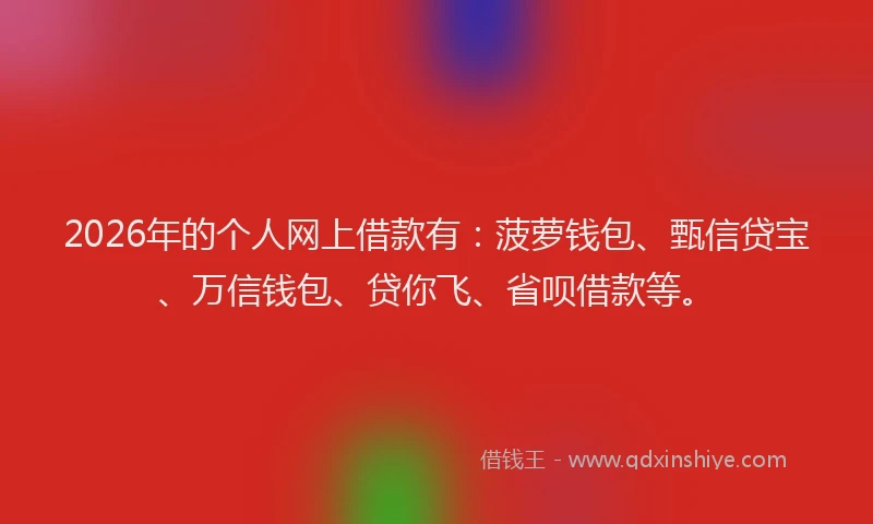 2026年的个人网上借款有：菠萝钱包、甄信贷宝、万信钱包、贷你飞、省呗借款等。