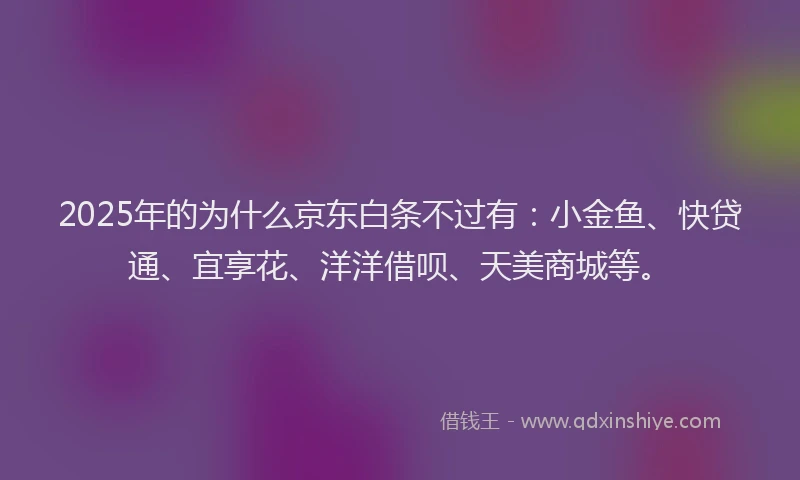 2025年的为什么京东白条不过有：小金鱼、快贷通、宜享花、洋洋借呗、天美商城等。