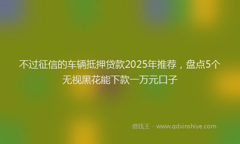 不过征信的车辆抵押贷款2025年推荐，盘点5个无视黑花能下款一万元口子