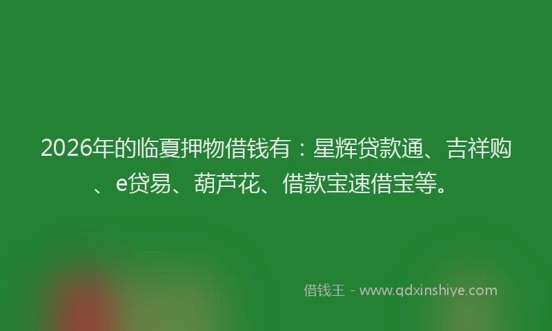2026年的临夏押物借钱有：星辉贷款通、吉祥购、e贷易、葫芦花、借款宝速借宝等。