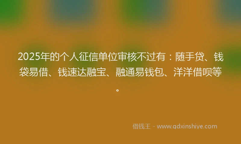 2025年的个人征信单位审核不过有：随手贷、钱袋易借、钱速达融宝、融通易钱包、洋洋借呗等。