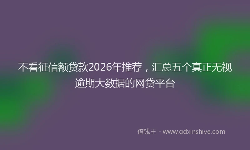 不看征信额贷款2026年推荐，汇总五个真正无视逾期大数据的网贷平台