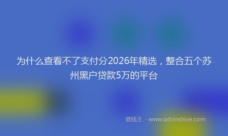 为什么查看不了支付分2026年精选，整合五个苏州黑户贷款5万的平台