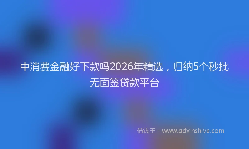 中消费金融好下款吗2026年精选，归纳5个秒批无面签贷款平台