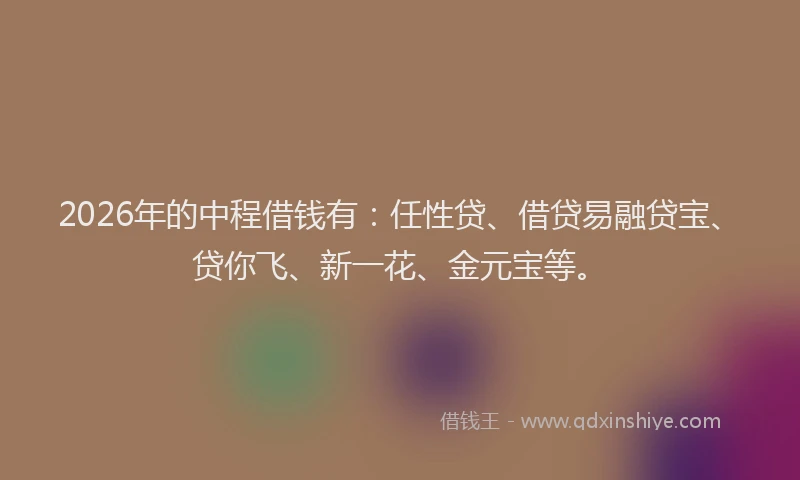 2026年的中程借钱有:任性贷、借贷易融贷宝、贷你飞、新一花、金元宝等。