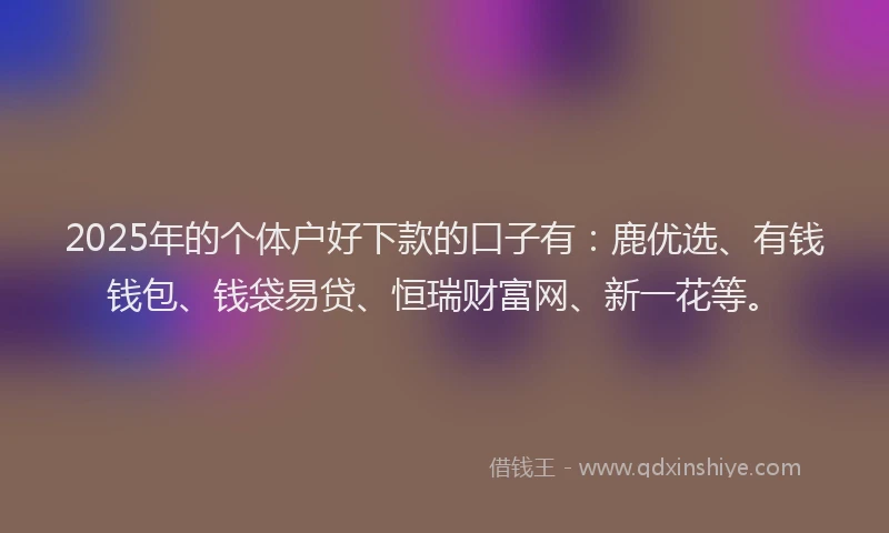 2025年的个体户好下款的口子有：鹿优选、有钱钱包、钱袋易贷、恒瑞财富网、新一花等。