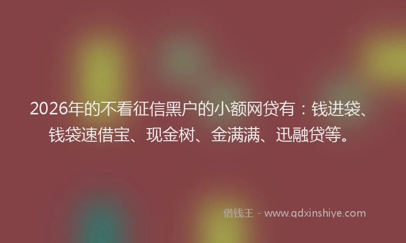 2026年的不看征信黑户的小额网贷有：钱进袋、钱袋速借宝、现金树、金满满、迅融贷等。