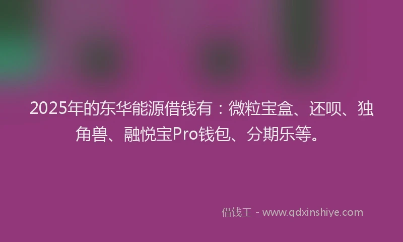 2025年的东华能源借钱有:微粒宝盒、还呗、独角兽、融悦宝Pro钱包、分期乐等。