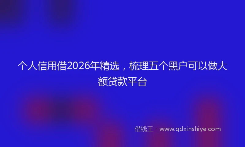 个人信用借2026年精选，梳理五个黑户可以做大额贷款平台