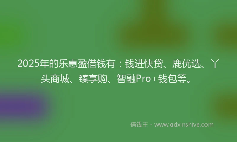 2025年的乐惠盈借钱有：钱进快贷、鹿优选、丫头商城、臻享购、智融Pro+钱包等。