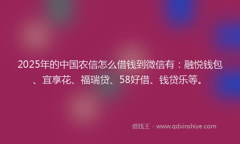 2025年的中国农信怎么借钱到微信有：融悦钱包、宜享花、福瑞贷、58好借、钱贷乐等。