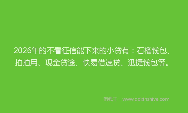 2026年的不看征信能下来的小贷有：石榴钱包、拍拍用、现金贷途、快易借速贷、迅捷钱包等。