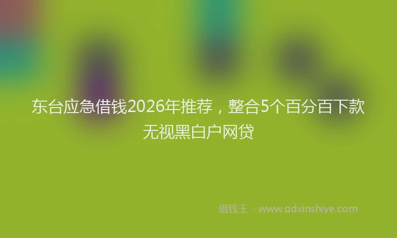 东台应急借钱2026年推荐，整合5个百分百下款无视黑白户网贷