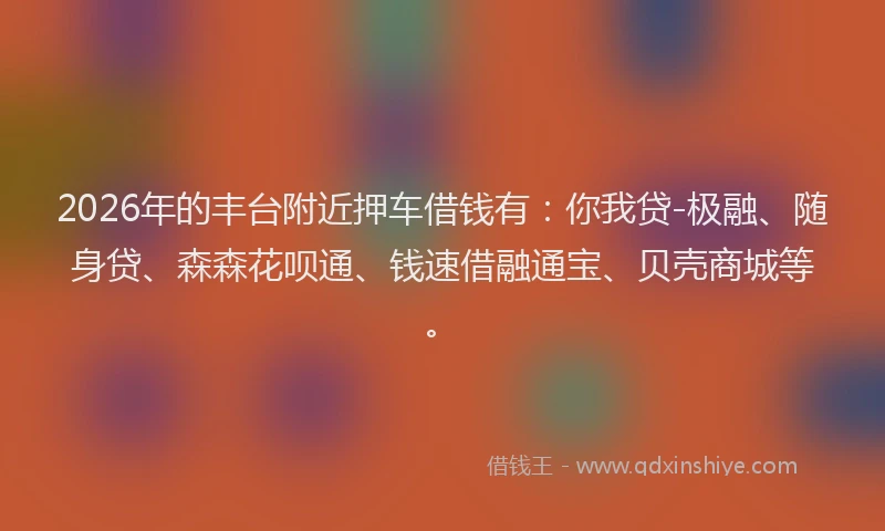 2026年的丰台附近押车借钱有:你我贷-极融、随身贷、森森花呗通、钱速借融通宝、贝壳商城等。