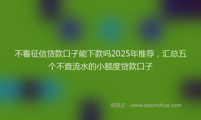 不看征信贷款口子能下款吗2025年推荐，汇总五个不查流水的小额度贷款口子