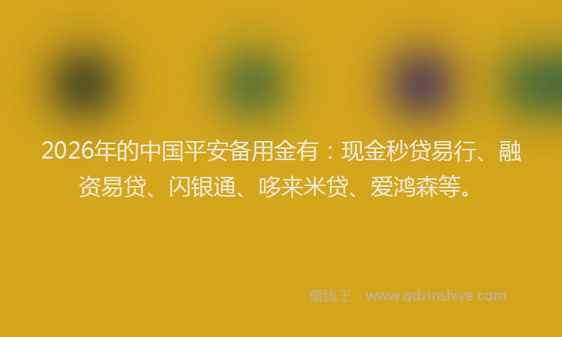 2026年的中国平安备用金有：现金秒贷易行、融资易贷、闪银通、哆来米贷、爱鸿森等。