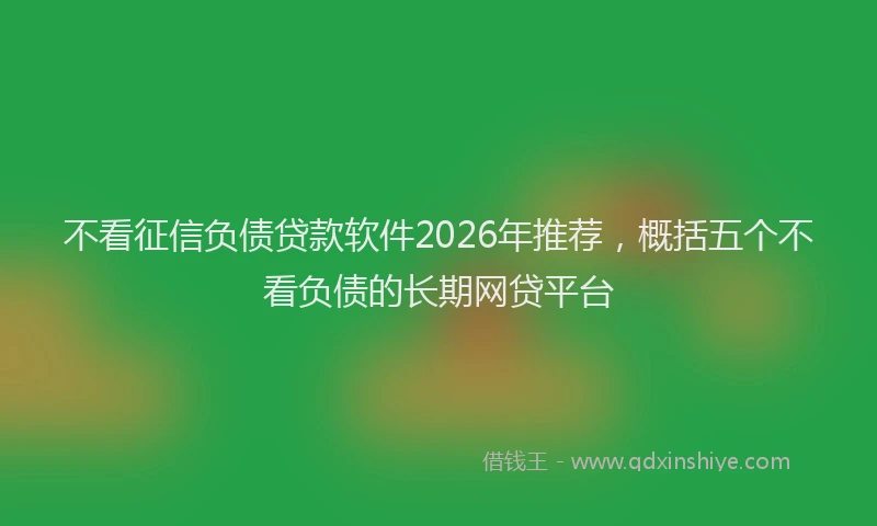 不看征信负债贷款软件2026年推荐，概括五个不看负债的长期网贷平台