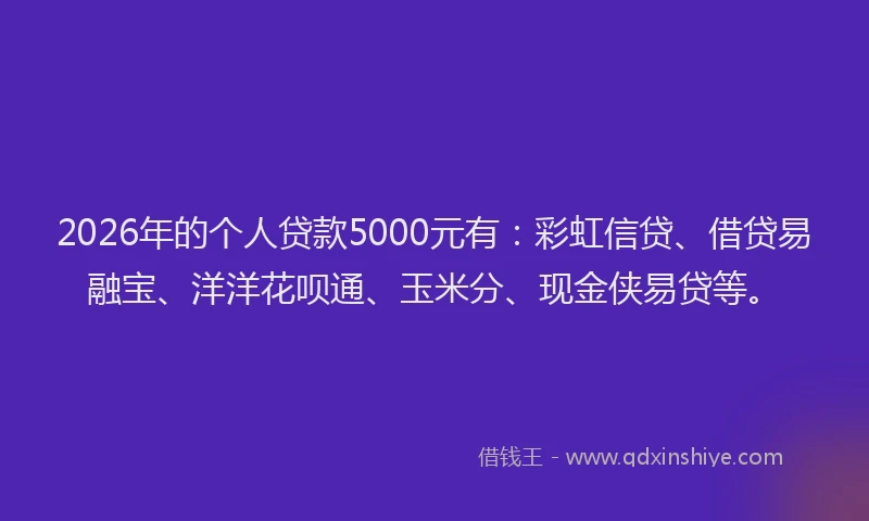 2026年的个人贷款5000元有：彩虹信贷、借贷易融宝、洋洋花呗通、玉米分、现金侠易贷等。