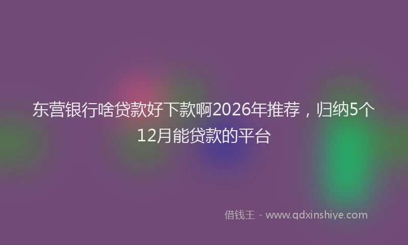 东营银行啥贷款好下款啊2026年推荐,归纳5个12月能贷款的平台
