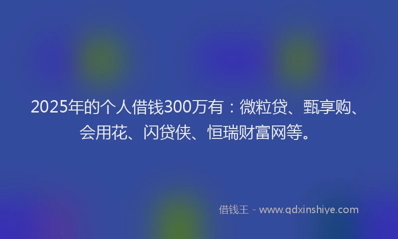 2025年的个人借钱300万有：微粒贷、甄享购、会用花、闪贷侠、恒瑞财富网等。