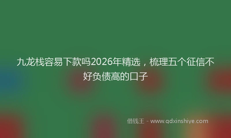 九龙栈容易下款吗2026年精选，梳理五个征信不好负债高的口子
