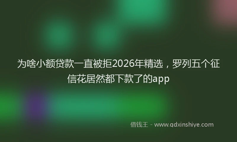 为啥小额贷款一直被拒2026年精选,罗列五个征信花居然都下款了的app