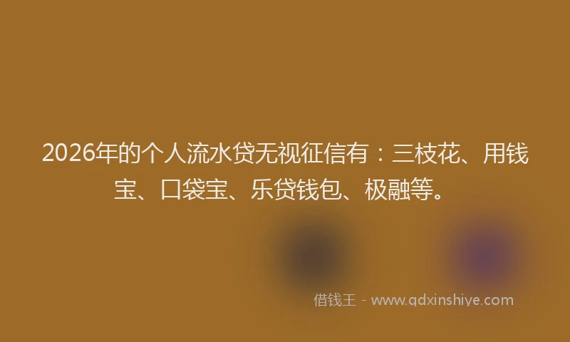 2026年的个人流水贷无视征信有：三枝花、用钱宝、口袋宝、乐贷钱包、极融等。